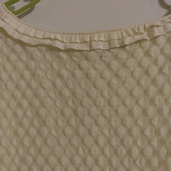 SteinMart NWT LRG Top - Picture 4 of 6